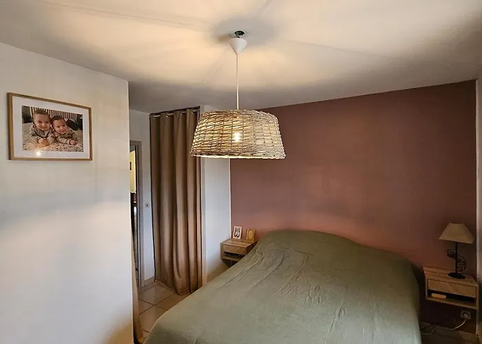 Typique Entre Terre Et * Hyères