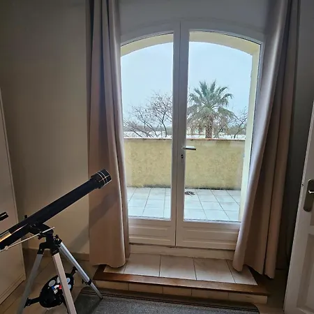 فيلة Typique Entre Terre Et *